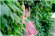听到别人做那事的声音晦气吗