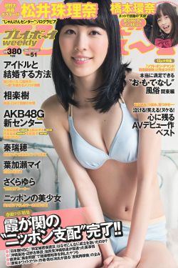藏海花 电视剧