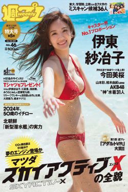傲气雄鹰